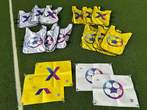 WeXel 12