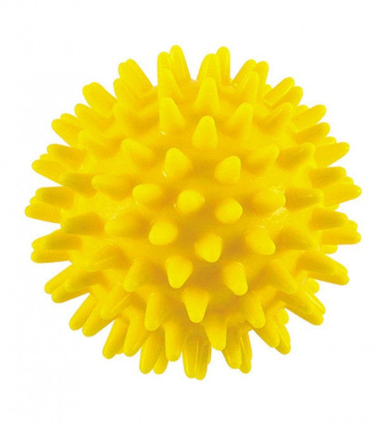 NOPPENBALL