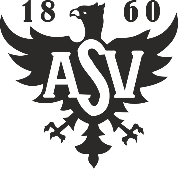 ASV Neumarkt Wappen - Jubiläumstrikot - Flex
