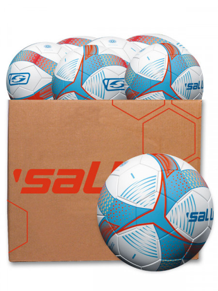 10er Ballpaket Iconey Training