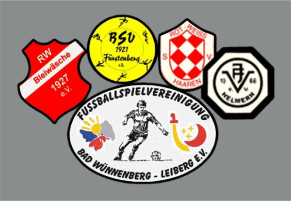 JSG Stadt Bad Wünnenberg Wappen CF