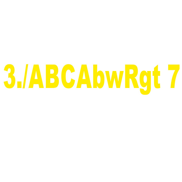 Schriftzug 3./ABCAbwRgt 7 - Beflockung