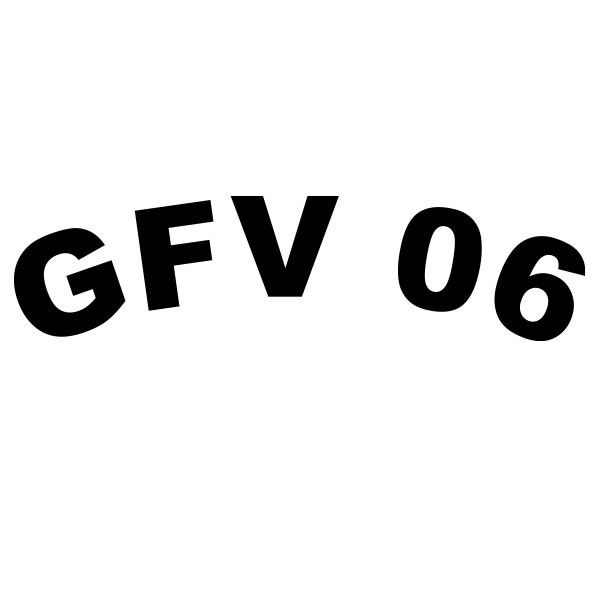 Godesberger FV 06 Schriftzug
